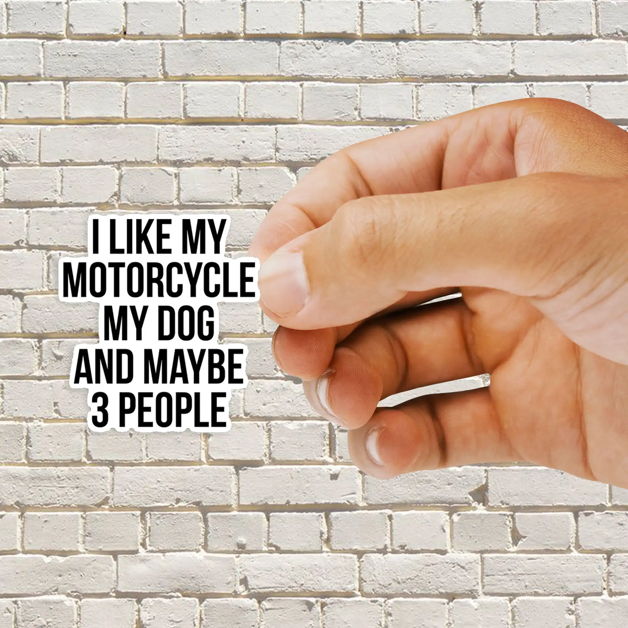 I Like My Motorcycle My Dog & Maybe 3 People  Sticker