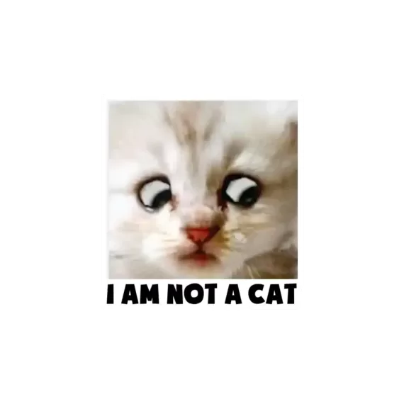 I'm not a cat Sticker