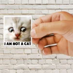 I'm not a cat Sticker
