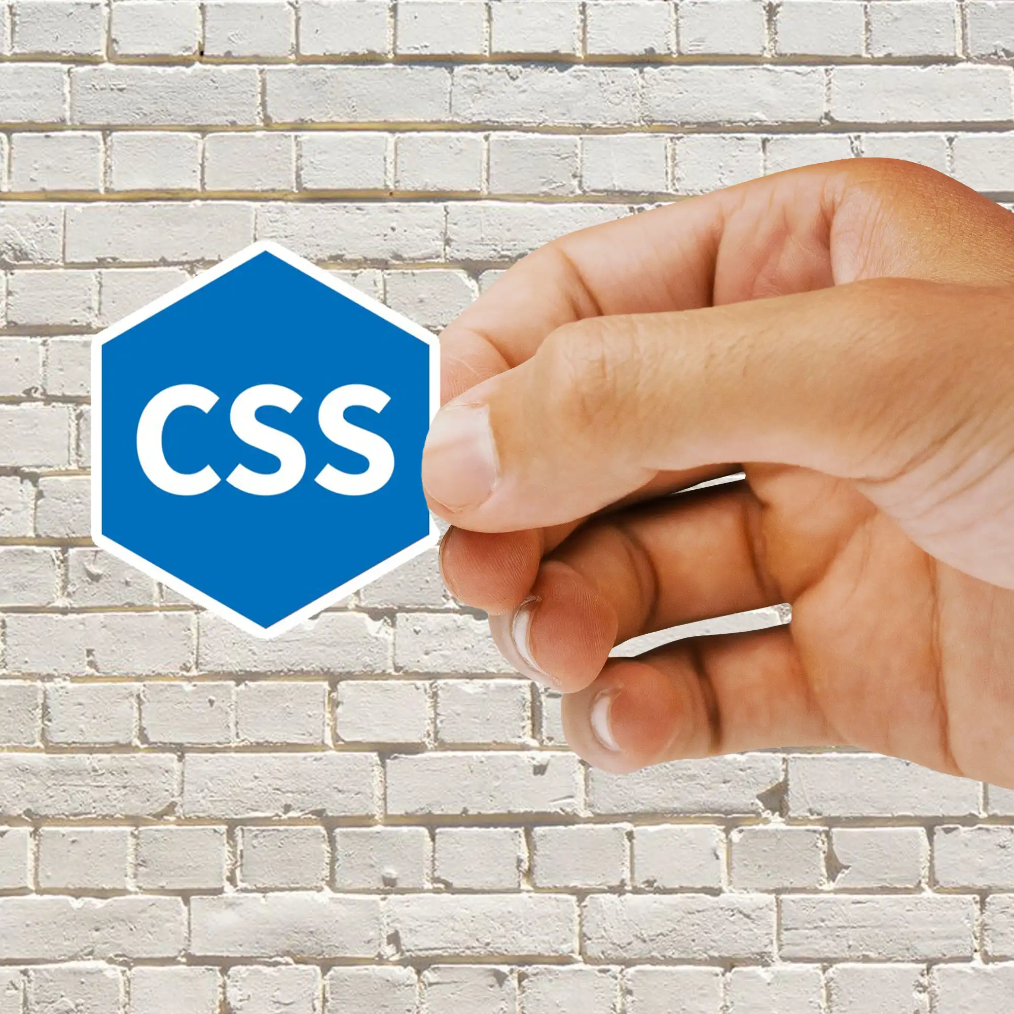 CSS White Hexagon Sticker