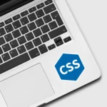 CSS White Hexagon Sticker