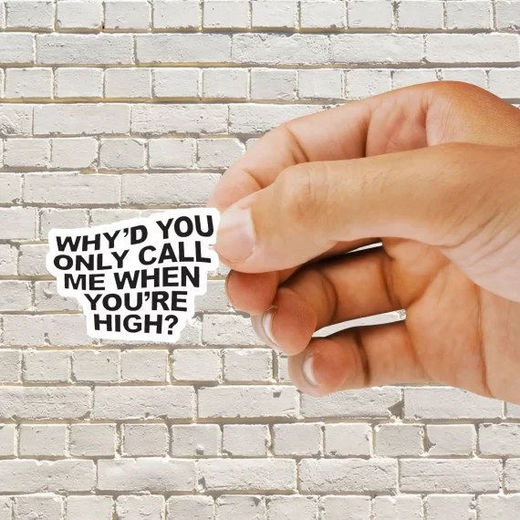 Why'd you only call me when you're high Sticker