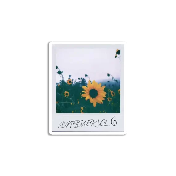 Sunflower Polaroid Sticker