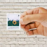 Sunflower Polaroid Sticker