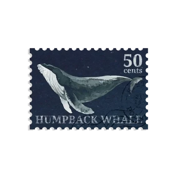 Whale Stamp Sticker