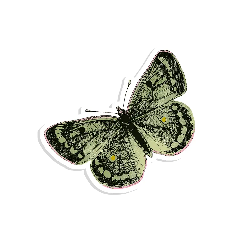 Retro Butterfly Sticker